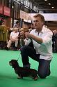 Crufts2011_2 1255